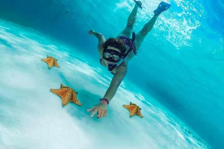 Apartamento Caribe Mexico Centro Turistico *